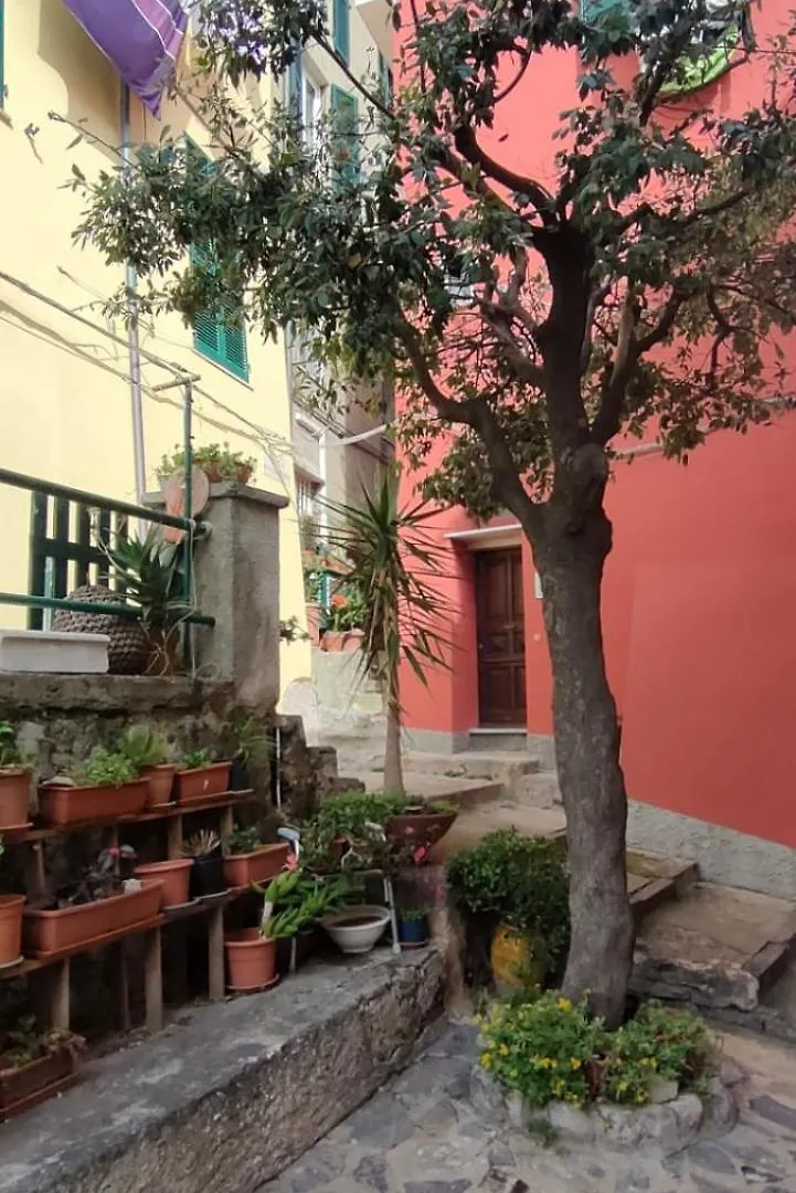 Piazzetta Vittoria Apartment Porto Venere Italy